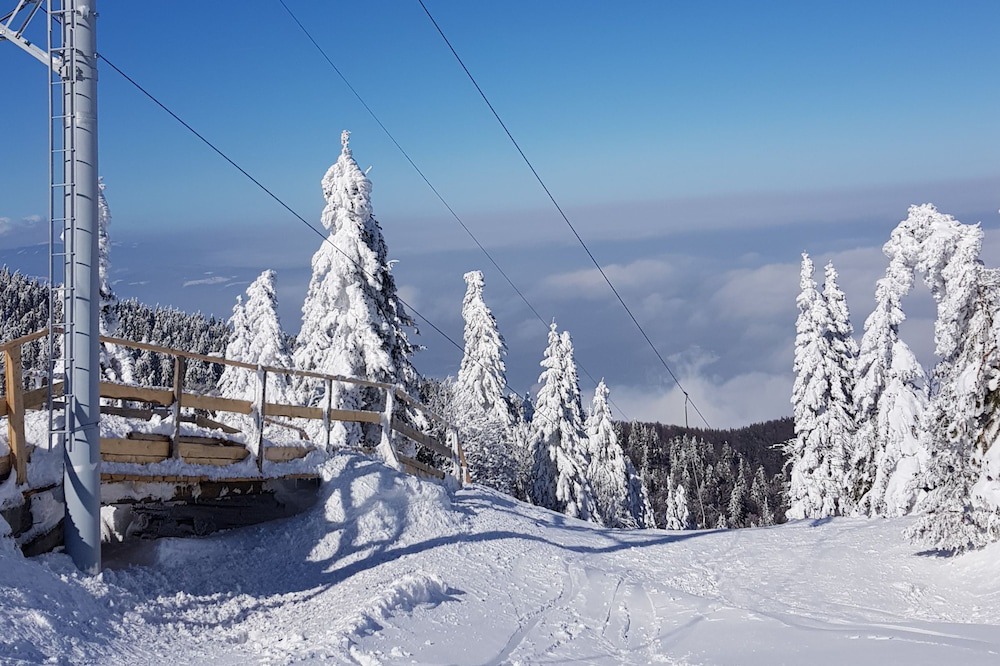 Photo of Others in Slovenj Gradec