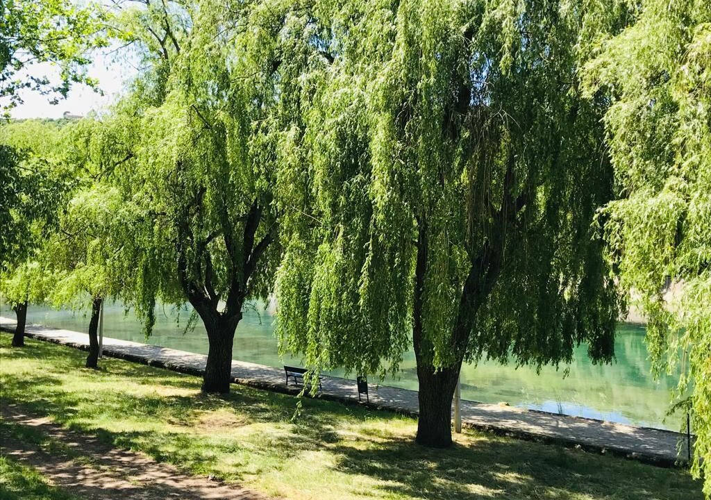 Photo of Outdoor in Trilj