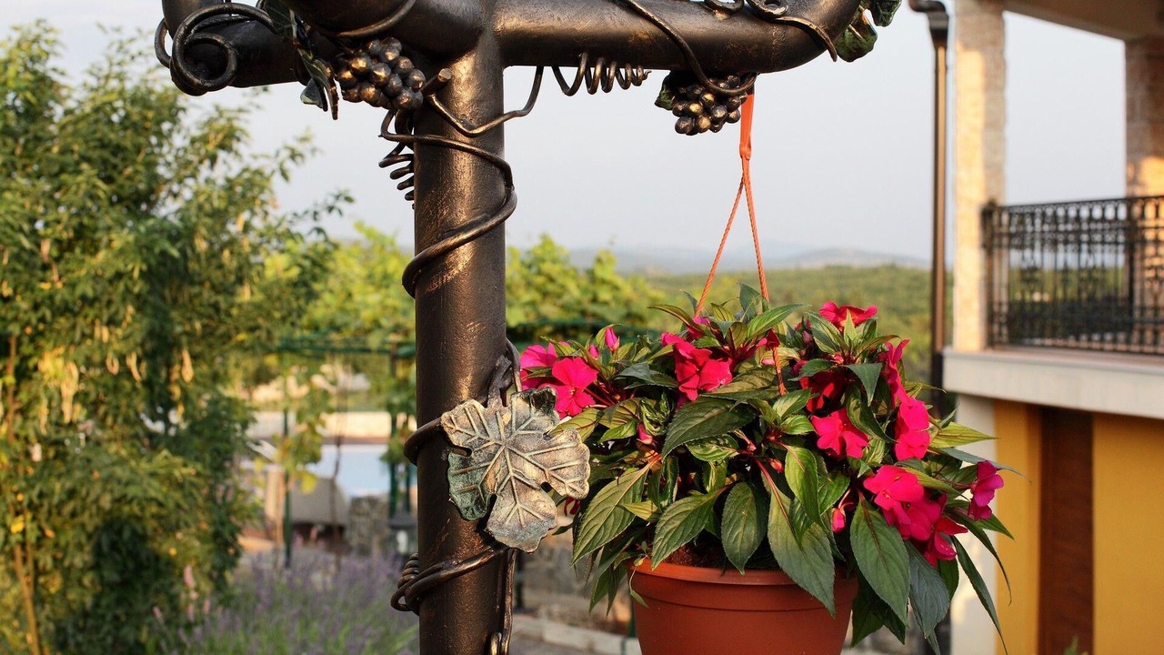 Photo of Outdoor in Cista Provo