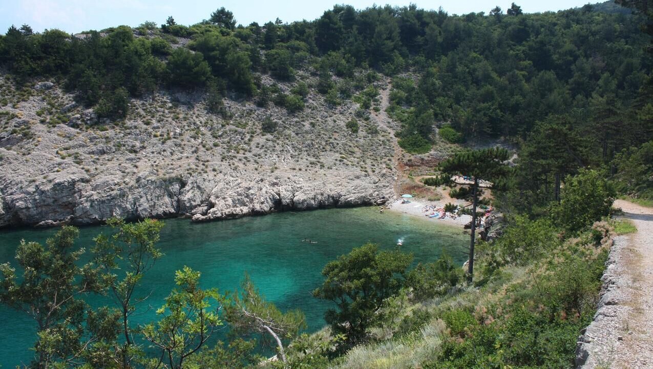 Photo of Others in Garica