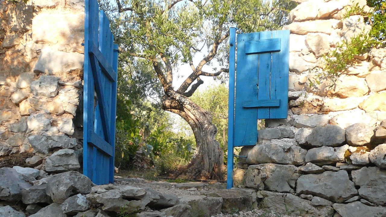 Photo of Others in Trpanj