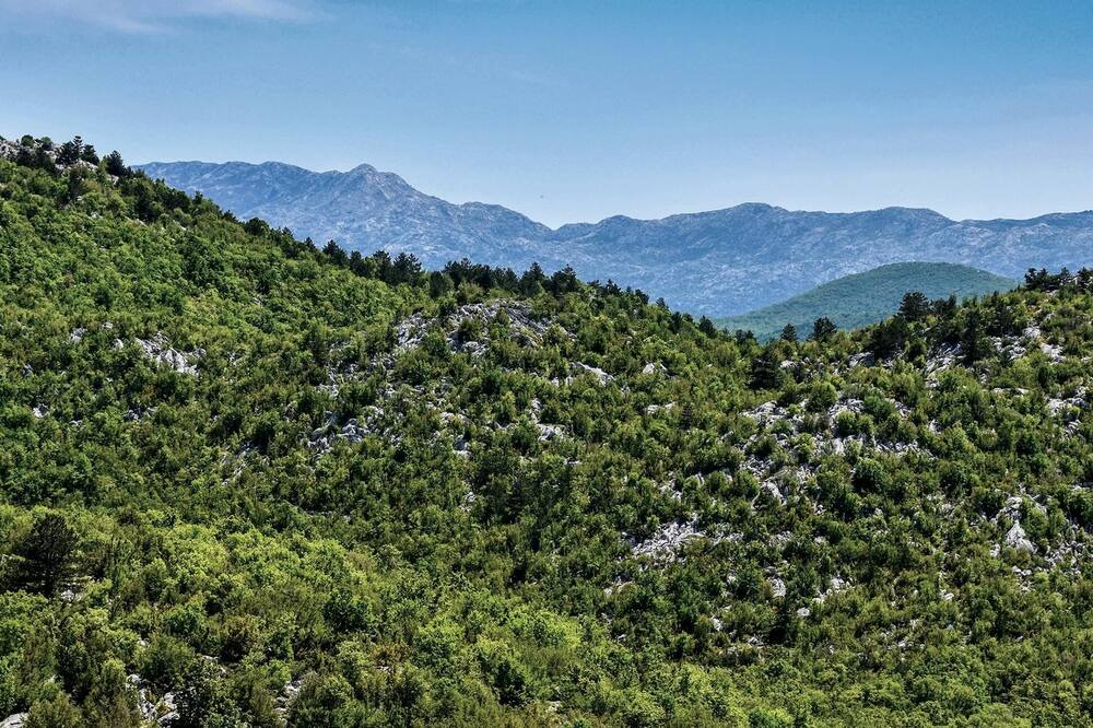 Photo of Others in Dugopolje