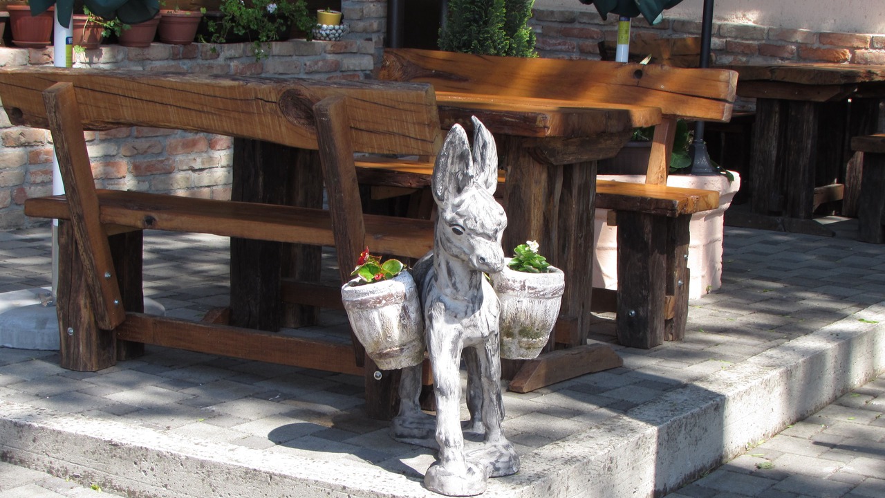 Photo of Outdoor in Velika Gorica
