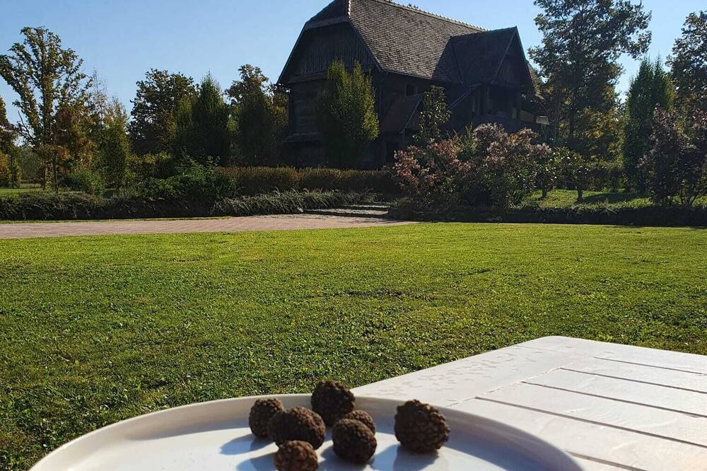 Photo of Outdoor in Lekenik