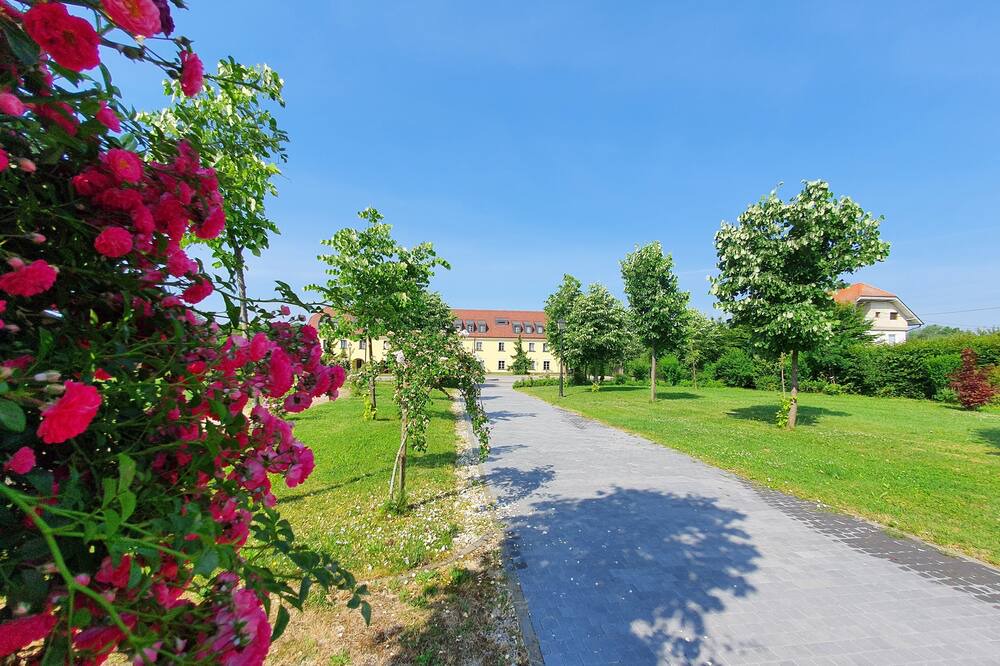 Photo of Outdoor in Lekenik