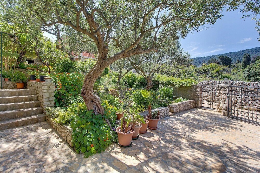 Photo of Outdoor in Veli Losinj