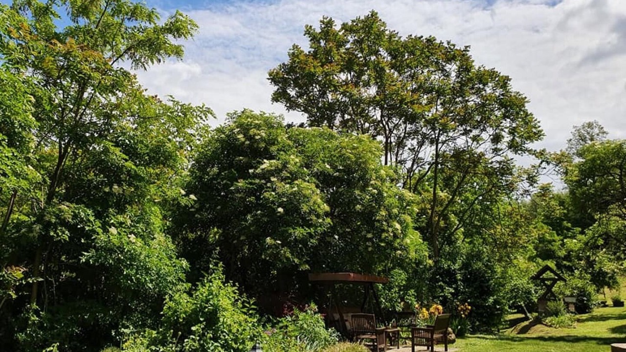 Photo of Outdoor in Draz