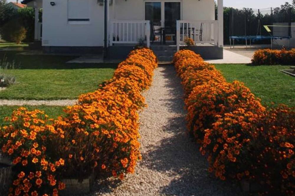 Photo of Outdoor in Galovac