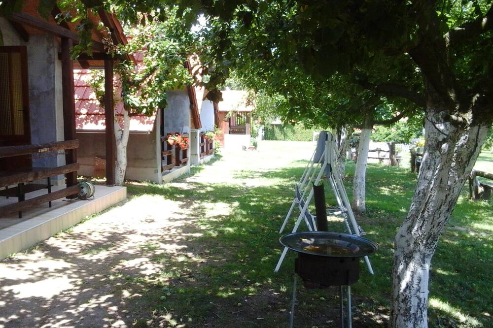 Photo of Outdoor in Kutina