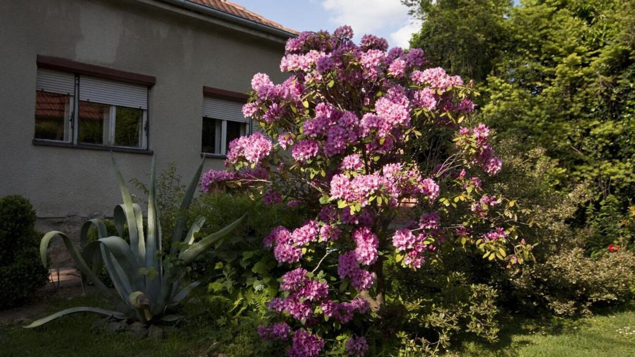 Photo of Outdoor in Krizevci