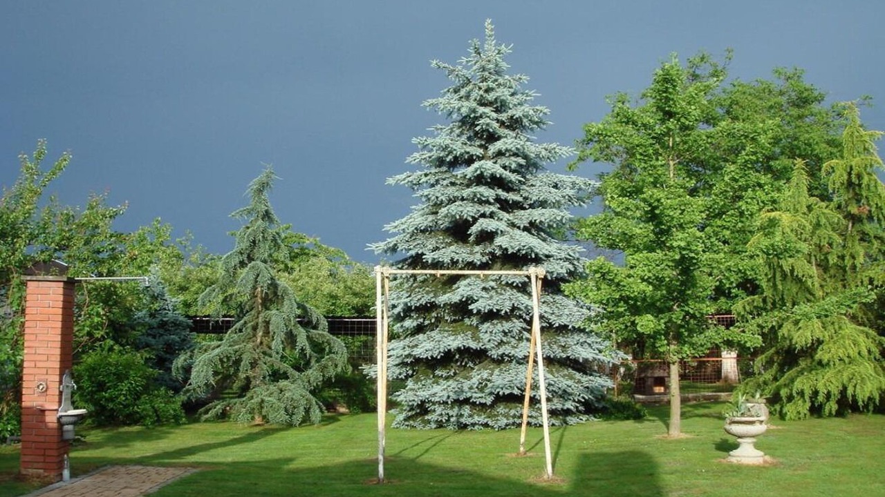 Photo of Outdoor in Krizevci