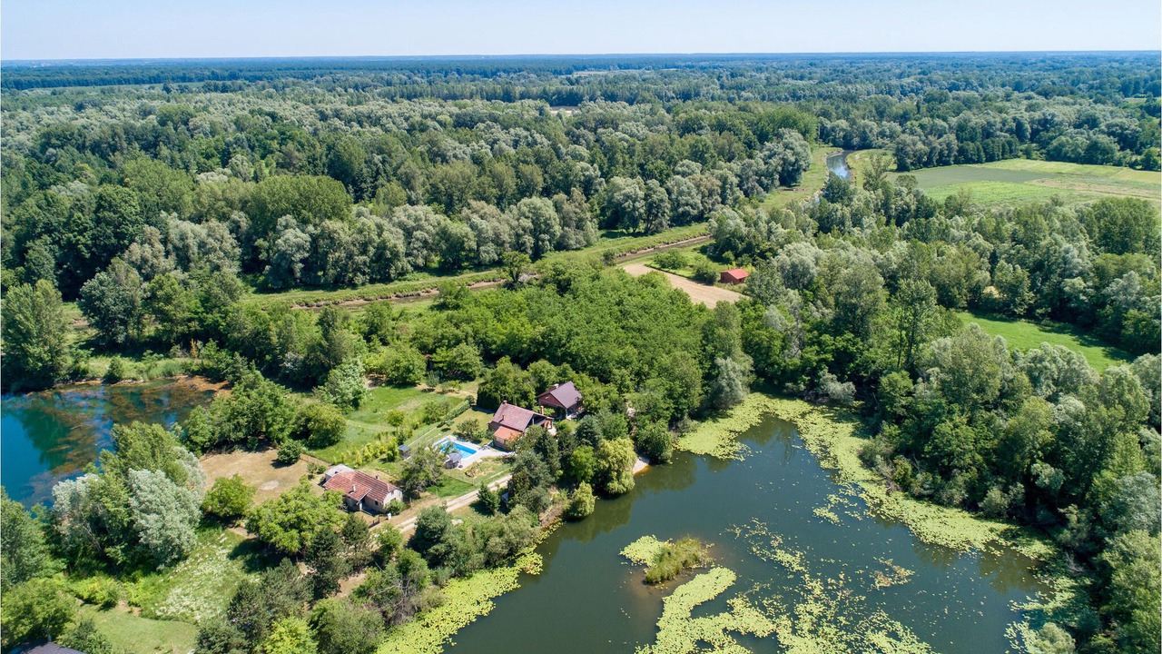 Photo of Outdoor in Molve