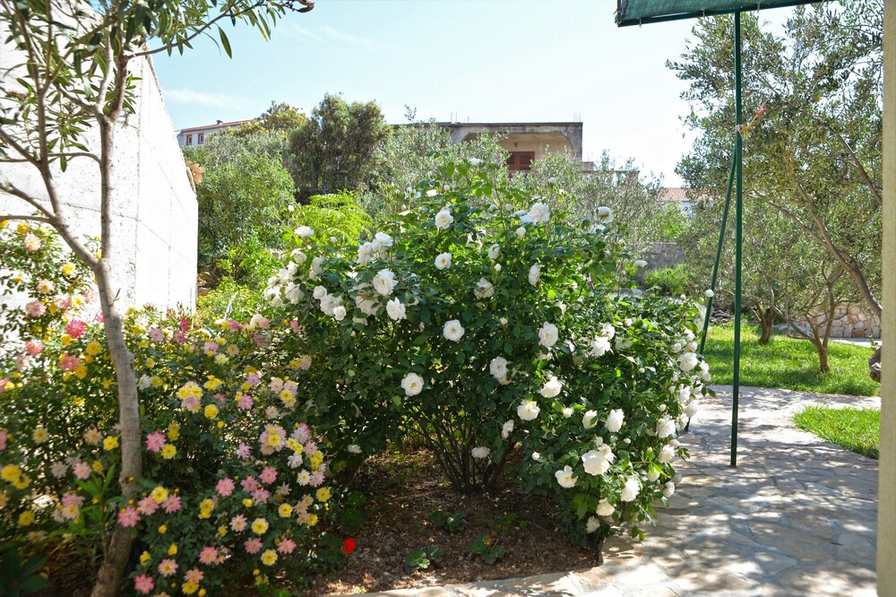Photo of Outdoor in Susica