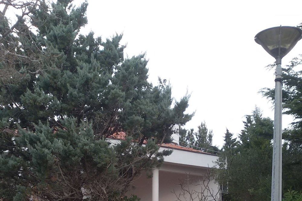 Photo of Outdoor in Gajac