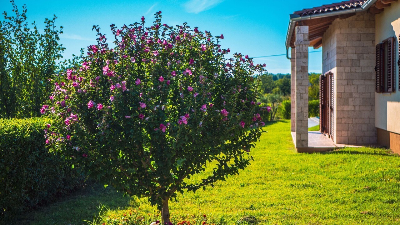 Photo of Outdoor in Drnis