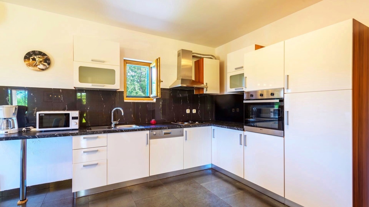 Photo of Kitchen in Lovinac