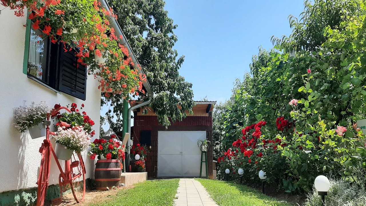 Photo of Outdoor in Durdevac