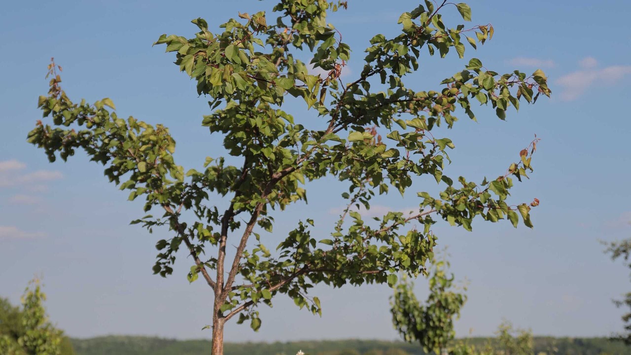 Photo of Outdoor in Durdevac