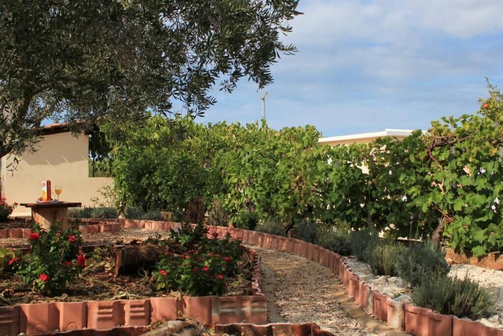 Photo of Patio Balcony in Lukoran