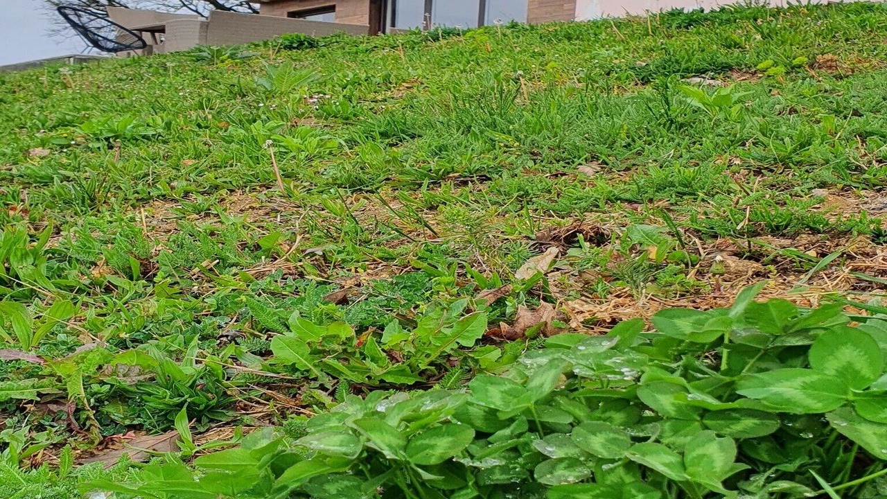 Photo of Outdoor in Slavonia
