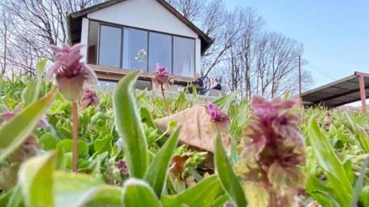 Photo of Outdoor in Slavonia
