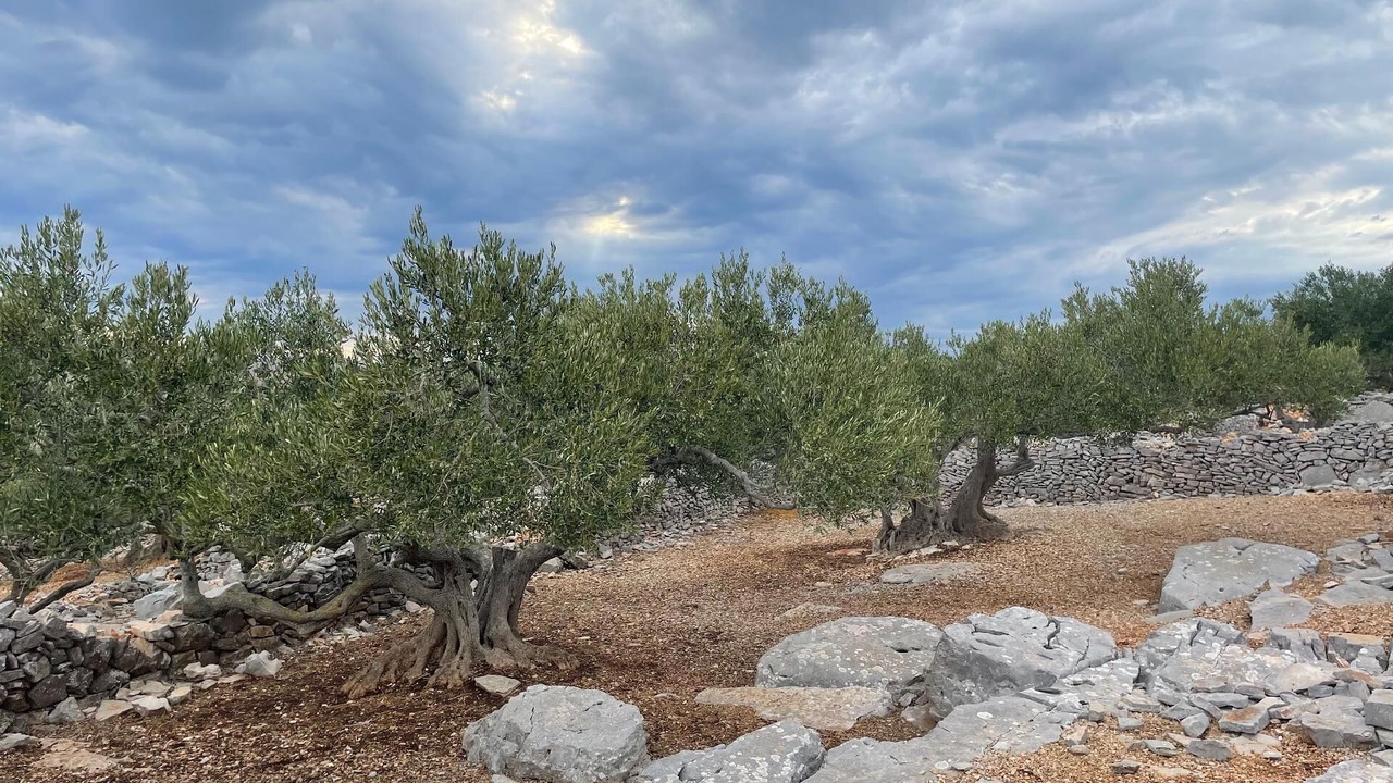Photo of Outdoor in Kornati