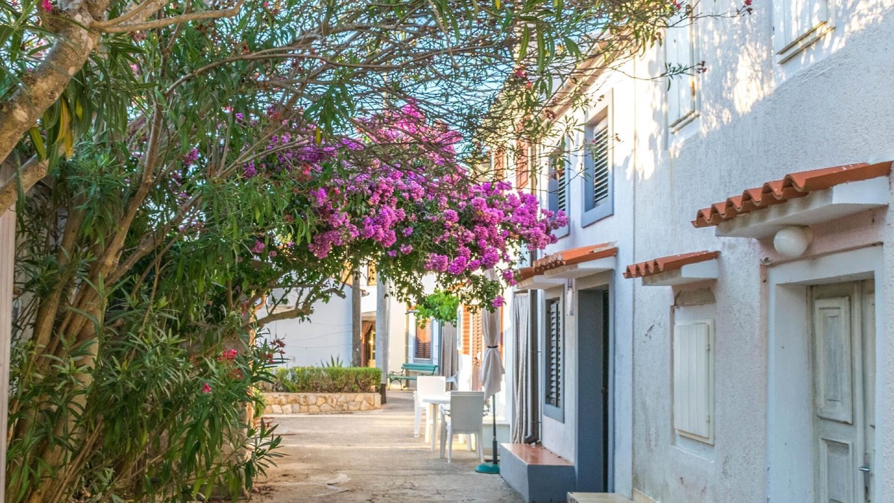Photo of Outdoor in Punta Kriza