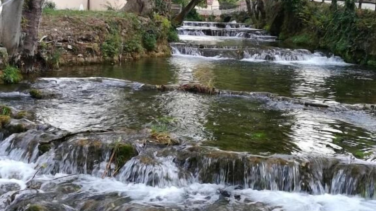 Photo of Others in Gradina