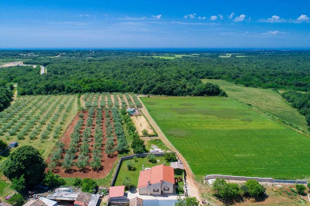 Photo of Outdoor in Farini
