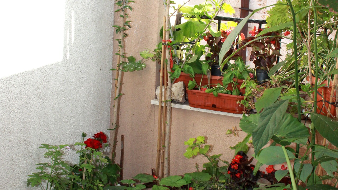 Photo of Patio Balcony in Grad