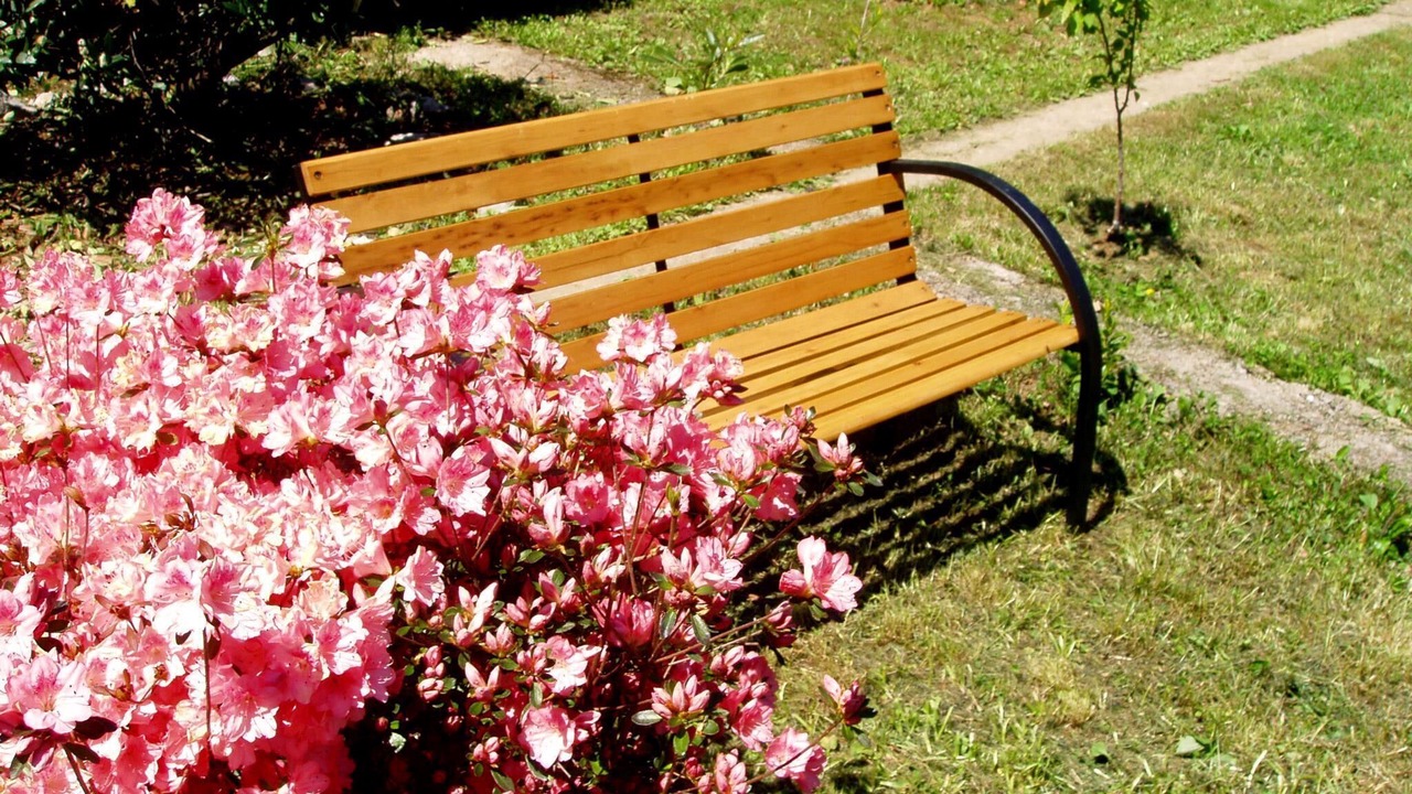 Photo of Outdoor in Opric