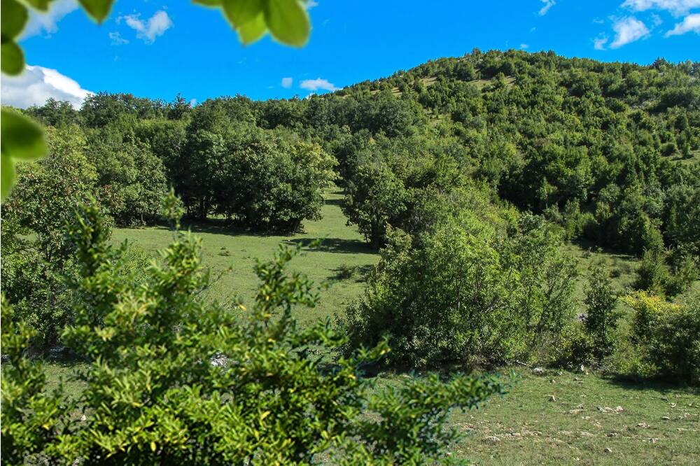 Photo of Others in Vrlika