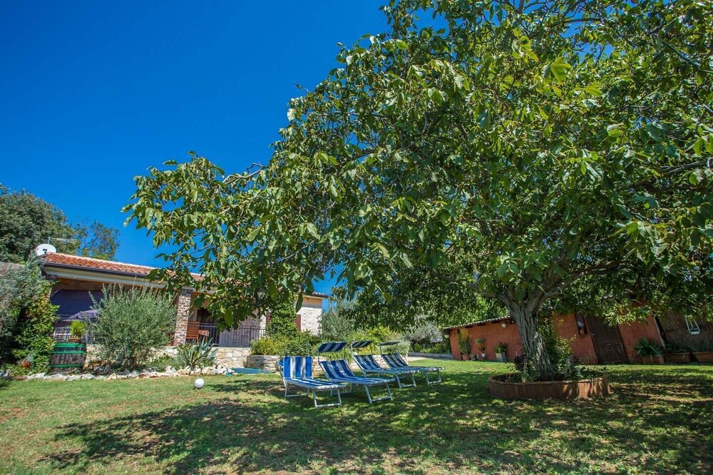 Photo of Outdoor in Dracevac