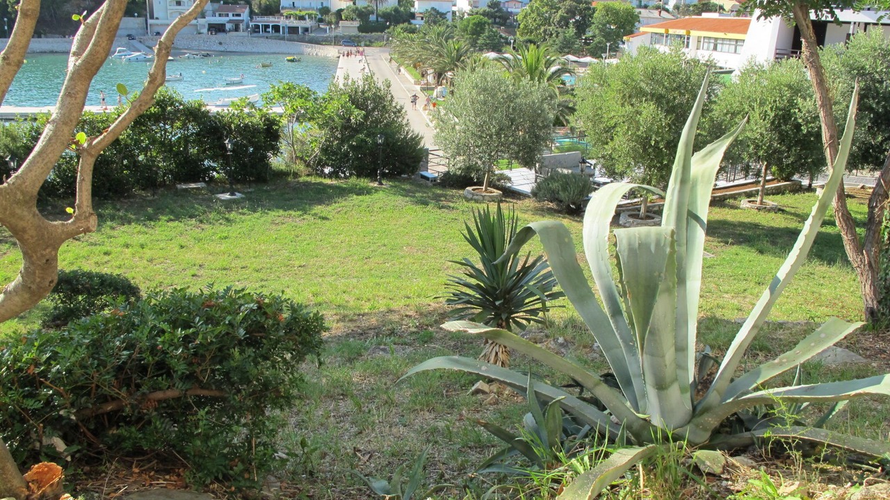 Photo of Outdoor in Banjol
