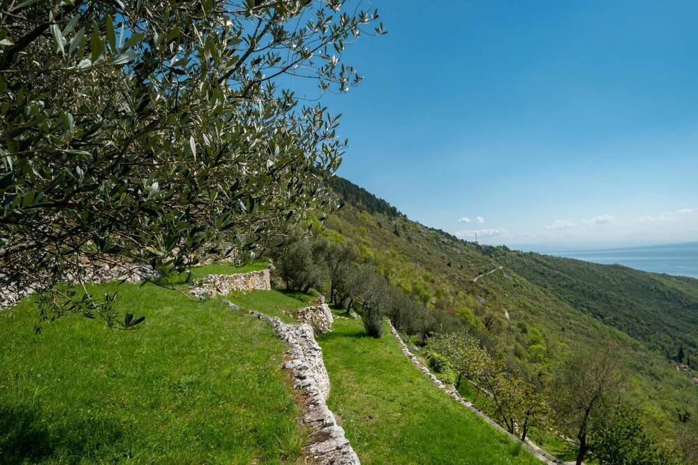 Photo of Others in Sucici
