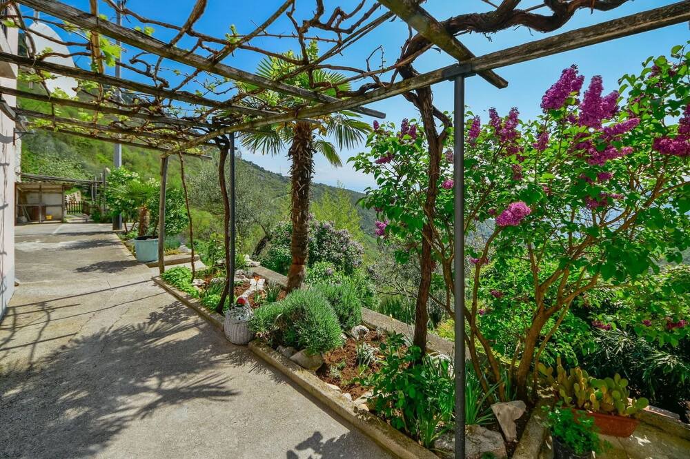 Photo of Outdoor in Sucici