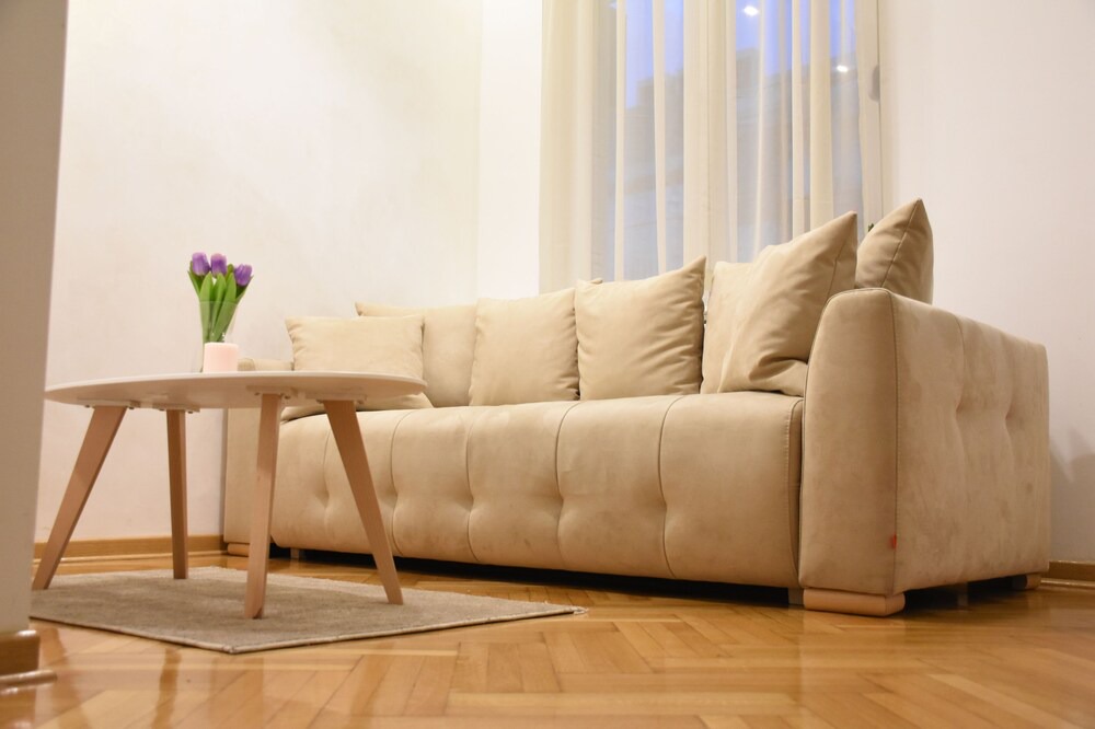 Photo of Livingroom in Slavija