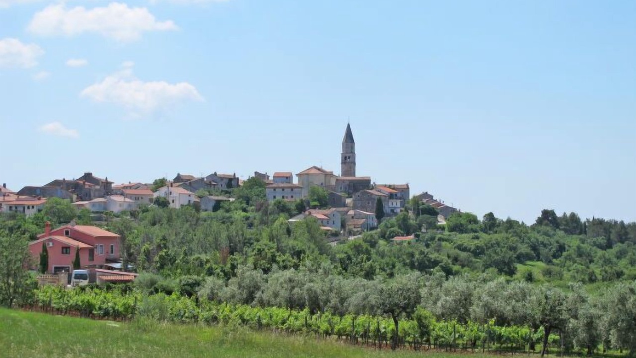 Photo of Others in Brnobici