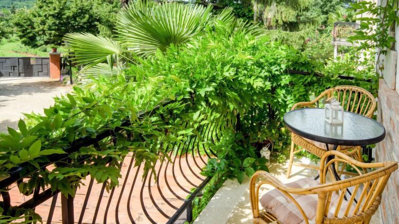 Photo of Outdoor in Karojba