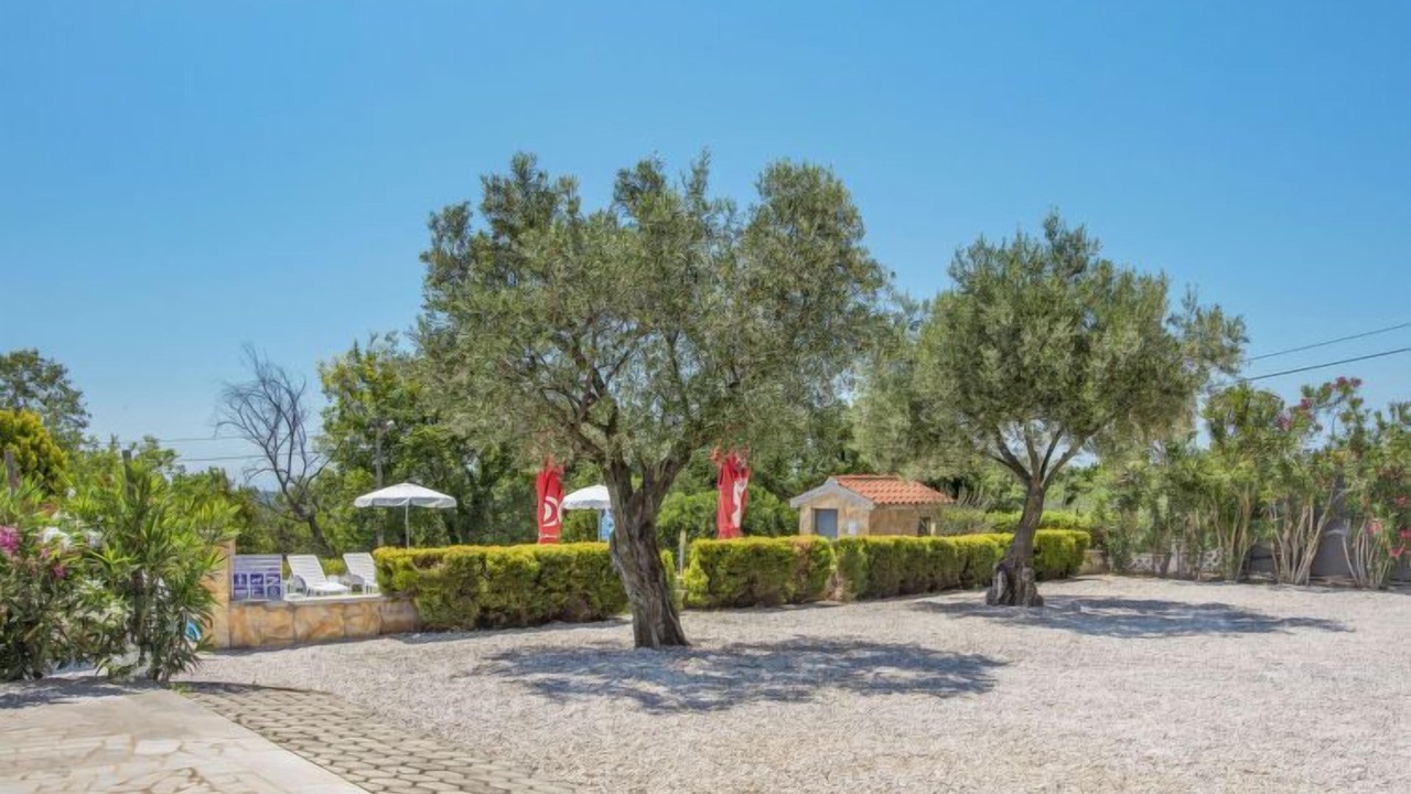 Photo of Outdoor in Brnobici