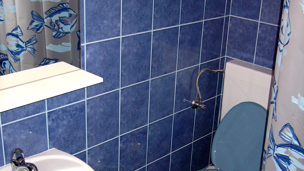 Photo of Bathroom in Lokva Rogoznica