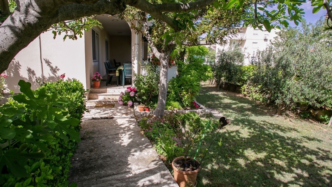 Photo of Outdoor in Vlasici