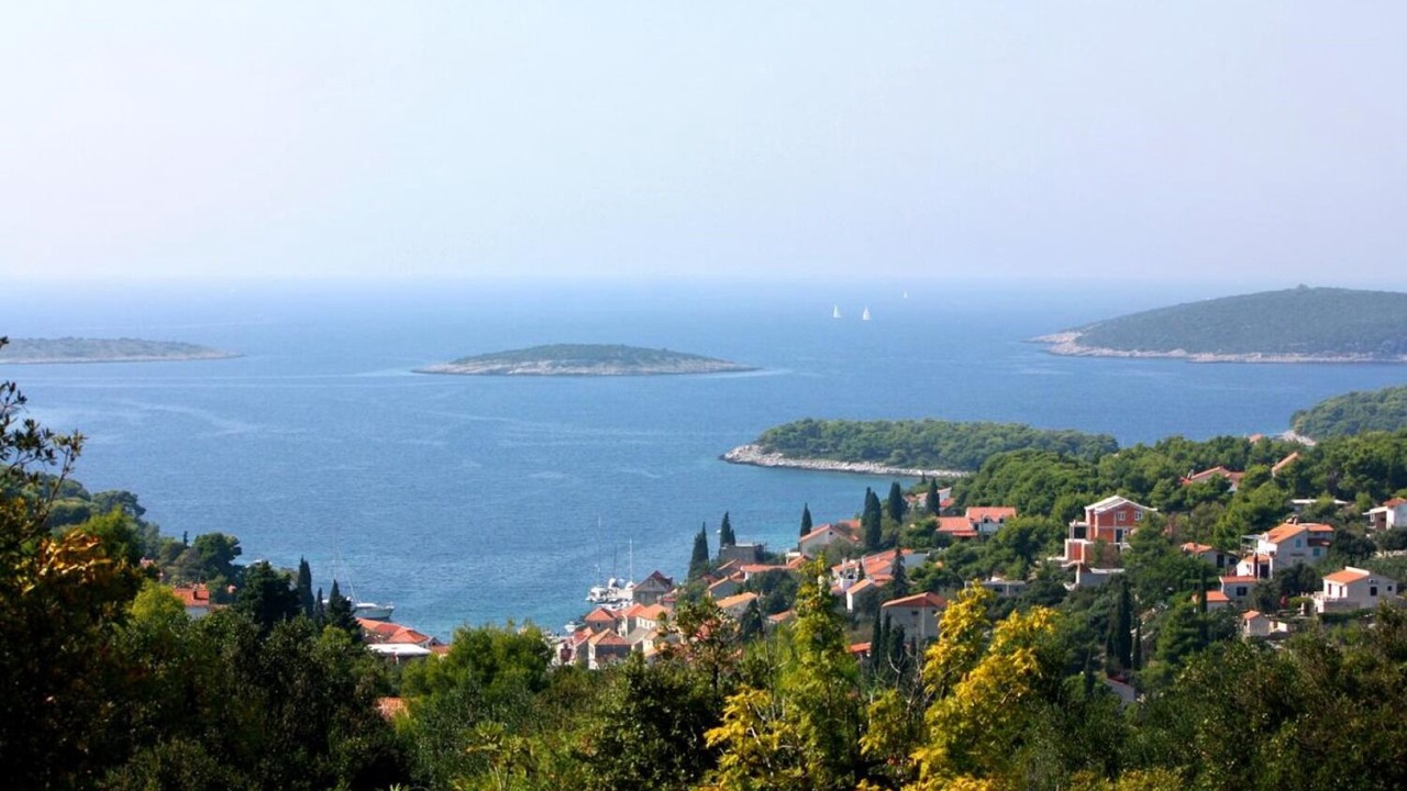 Photo of Others in Maslinica