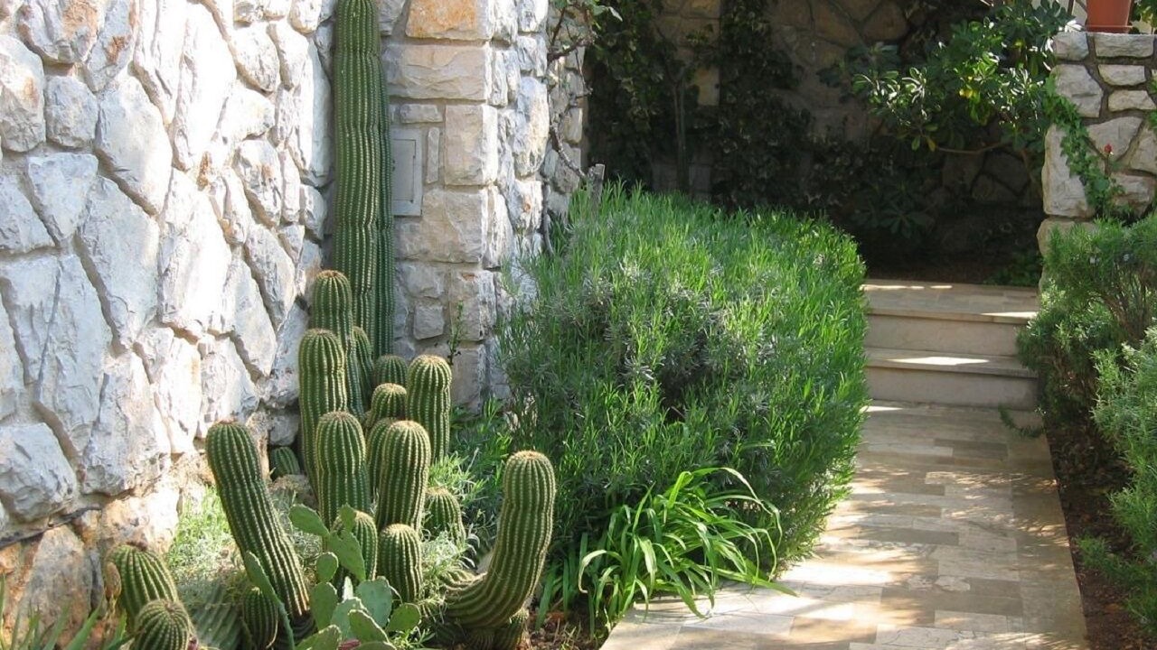 Photo of Outdoor in Cres