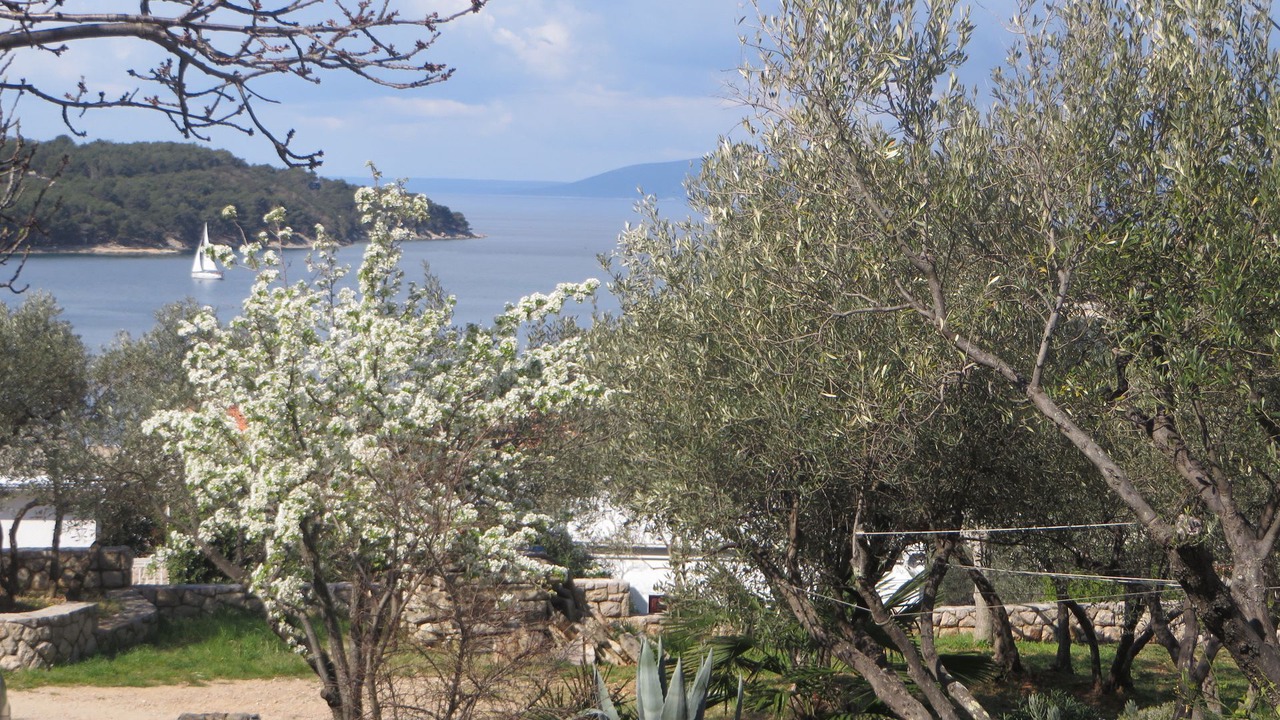 Photo of Outdoor in Cres
