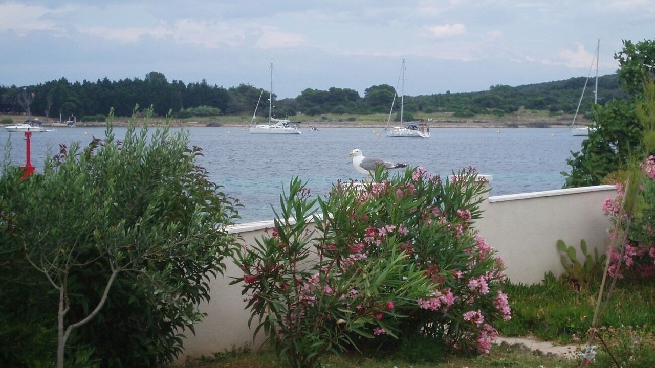 Photo of Outdoor in Ilovik