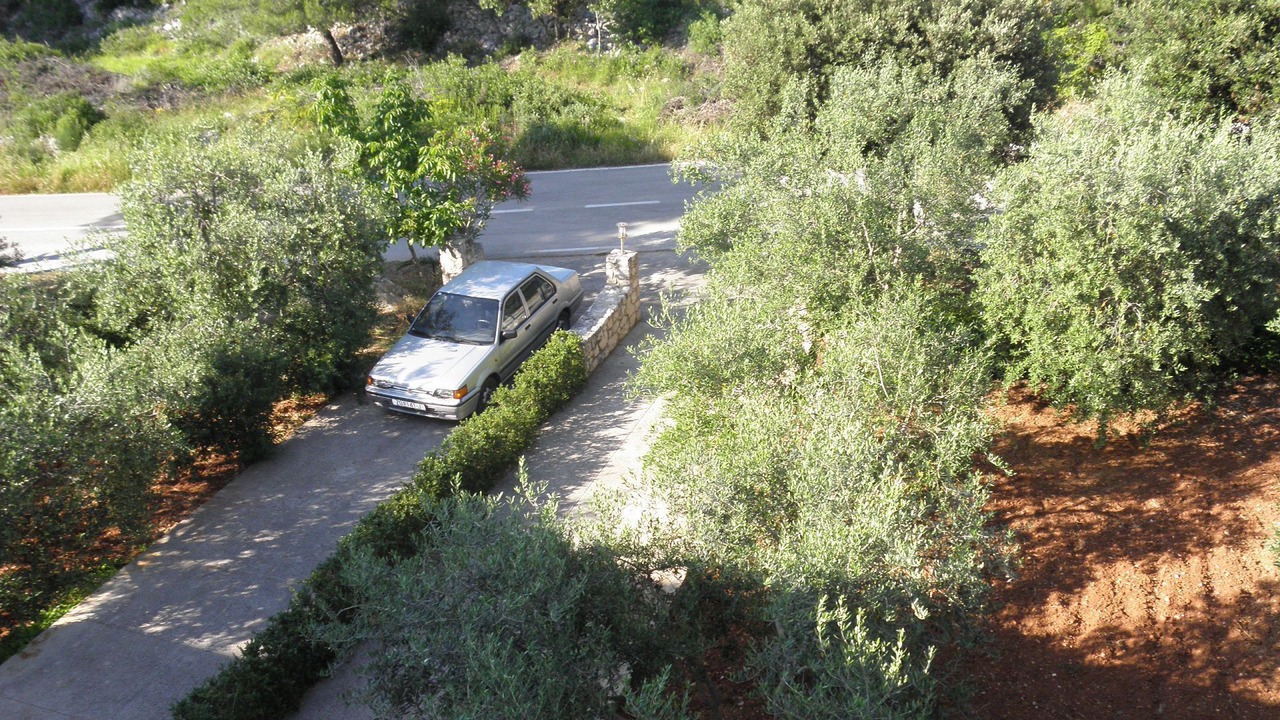 Photo of Outdoor in Muline