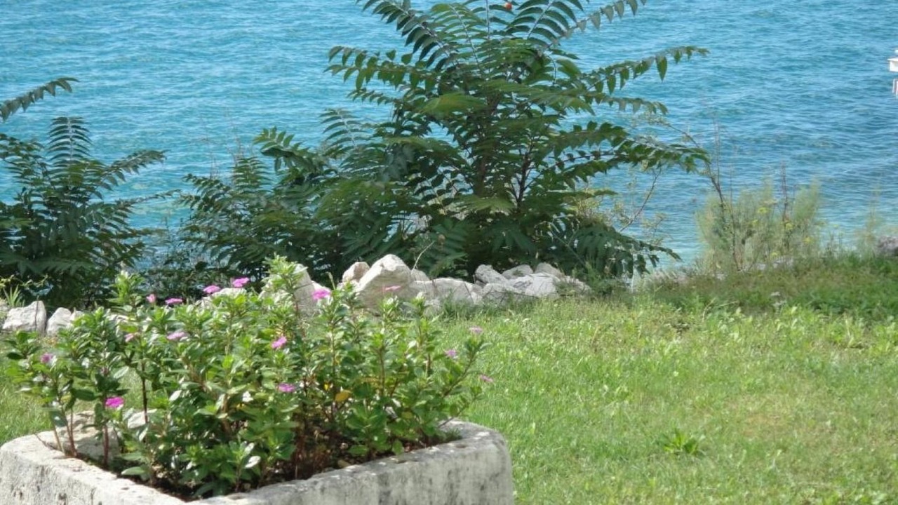 Photo of Outdoor in Brist