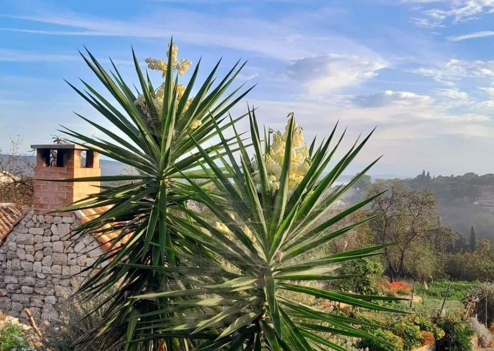Photo of Outdoor in Zman