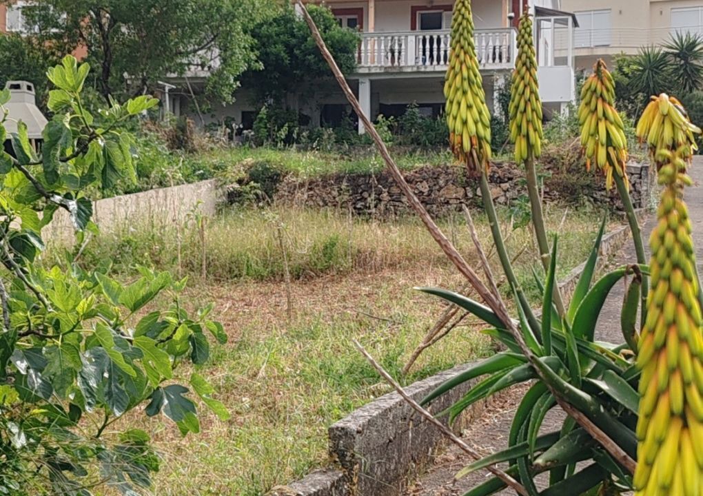 Photo of Outdoor in Zman